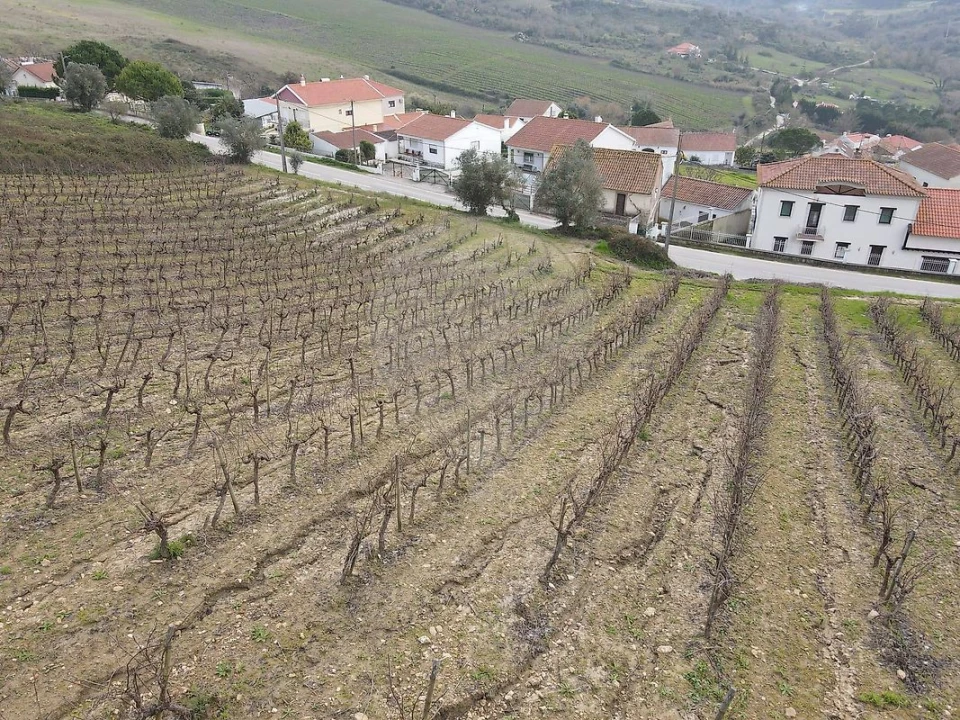Terreno para Venda em Santo Quintino Foto 6