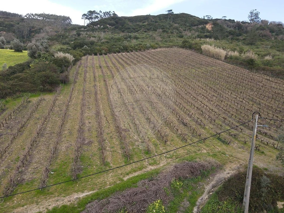 Terreno para Venda em Santo Quintino Foto 13