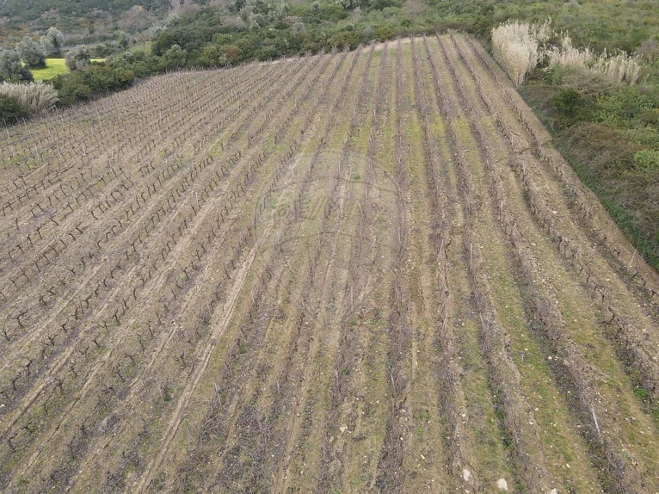 Terreno para Venda em Santo Quintino Foto 2