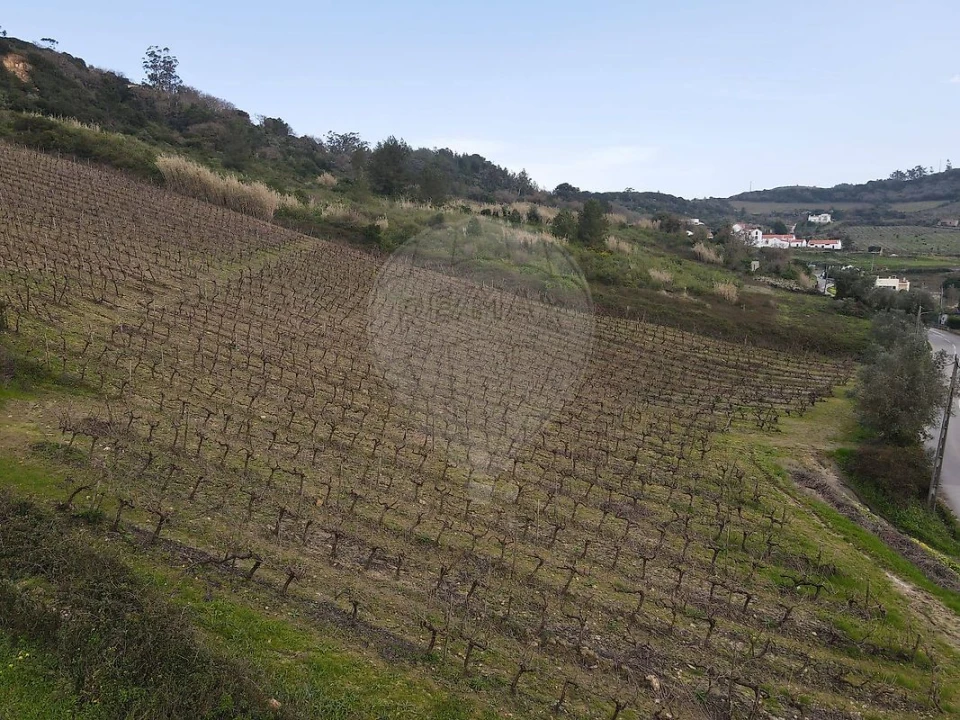 Terreno para Venda em Santo Quintino Foto 10