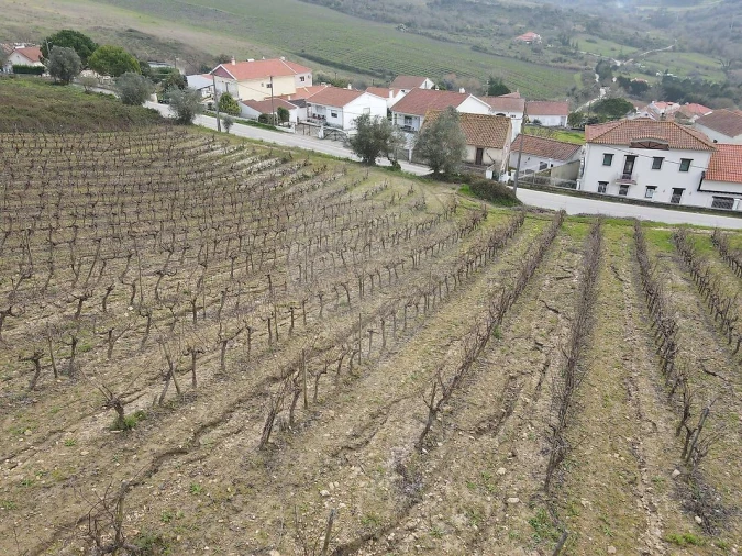 Terreno para Venda em Santo Quintino Foto 4