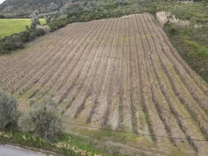 Terreno para Venda em Santo Quintino