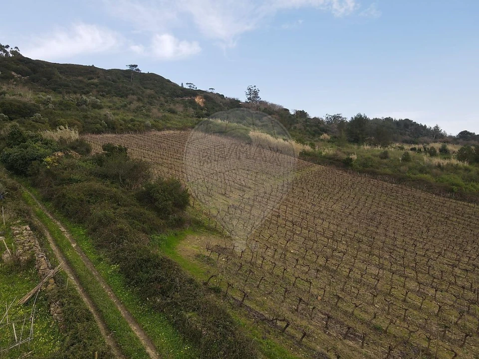 Terreno para Venda em Santo Quintino Foto 11