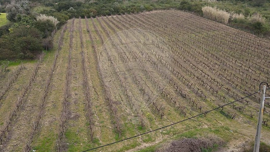 Terreno para Venda em Santo Quintino