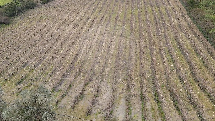 Terreno para Venda em Santo Quintino