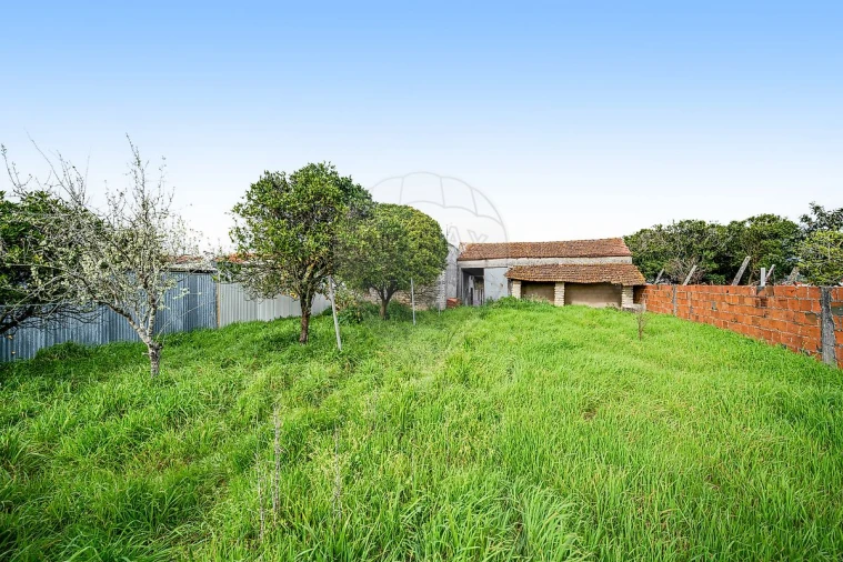 Moradia T2 para Venda em Ílhavo (São Salvador) Foto 18