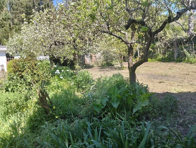 Moradia T5 para Venda em Raiva, Pedorido e Paraíso Foto 10