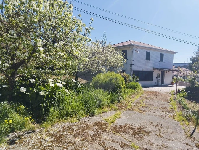 Moradia T5 para Venda em Raiva, Pedorido e Paraíso Foto 23