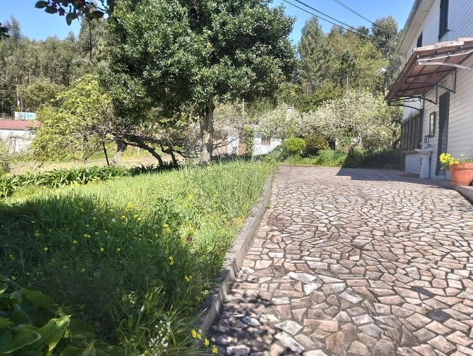 Moradia T5 para Venda em Raiva, Pedorido e Paraíso Foto 24