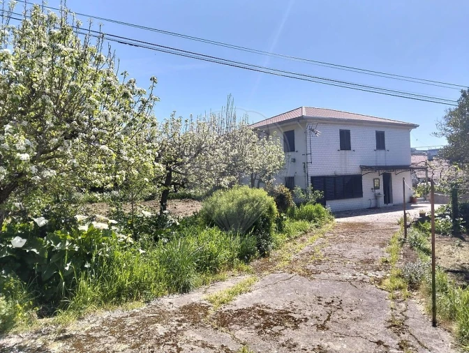 Moradia T5 para Venda em Raiva, Pedorido e Paraíso Foto 17