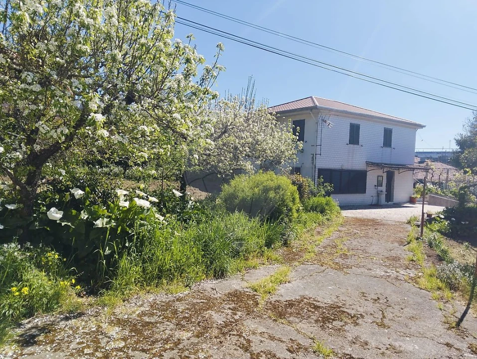 Moradia T5 para Venda em Raiva, Pedorido e Paraíso Foto 23