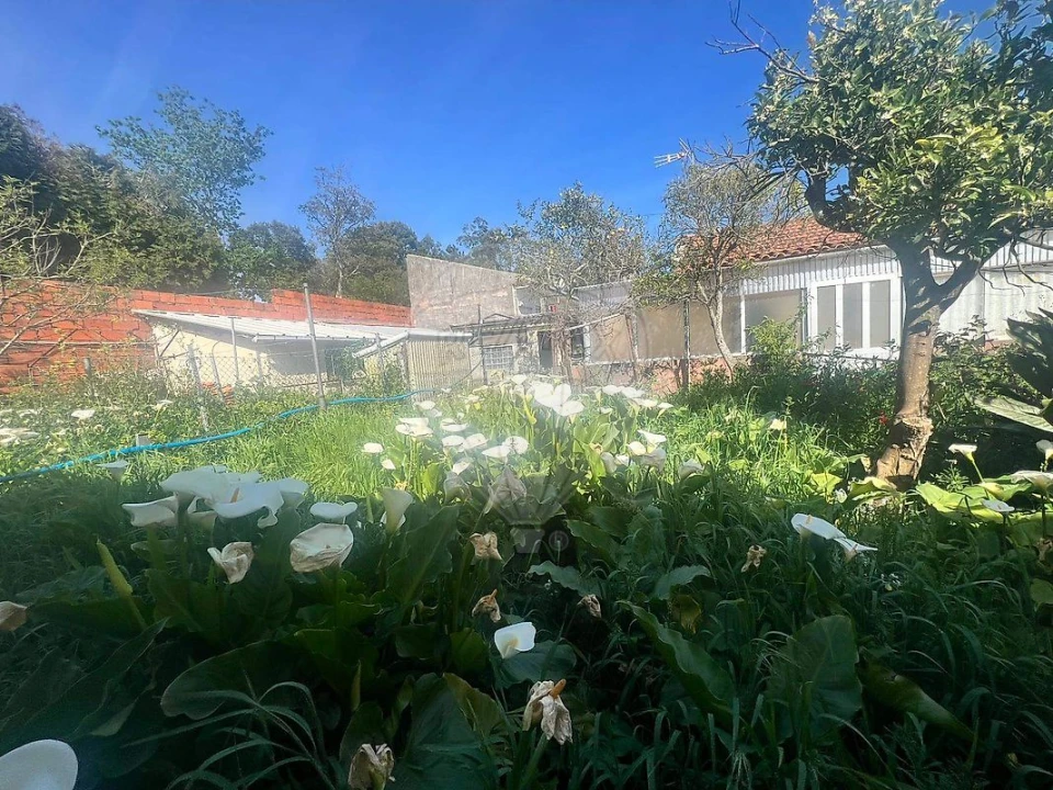 Moradia T4 para Venda em Anta e Guetim Foto 11