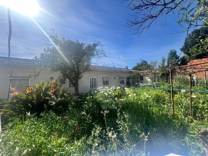 Moradia T4 para Venda em Anta e Guetim Foto 39