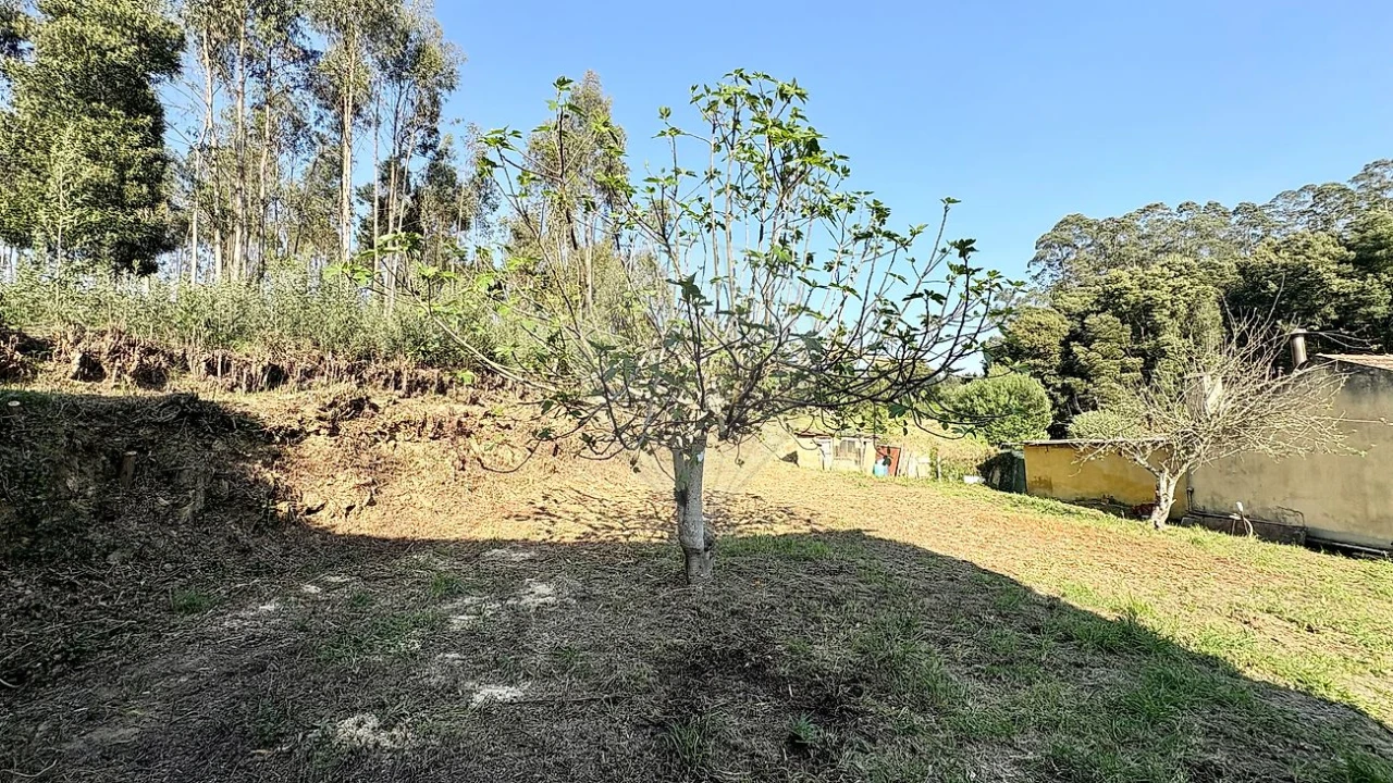 Moradia T3 para Venda em Anta e Guetim Foto 6