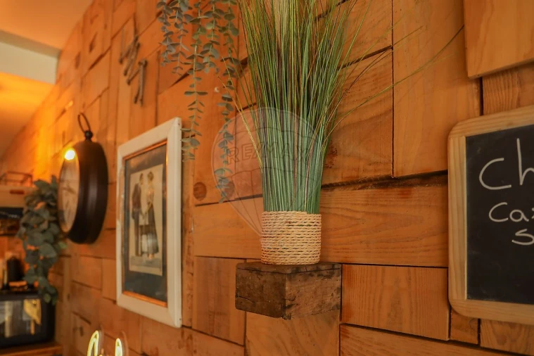 Negócio para Venda em Santa Maria, São Pedro e Matacães Foto 40