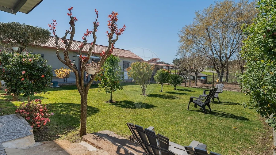 Moradia T4 para Venda em Lodares Foto 19