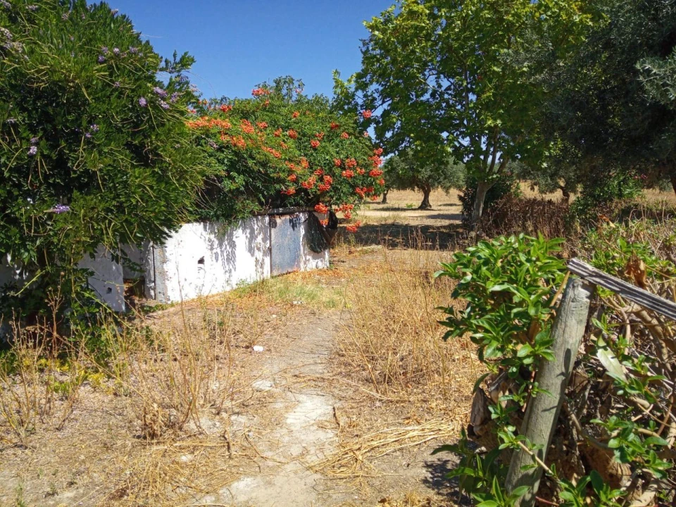 Quinta T4 para Venda em Casa Branca Foto 15