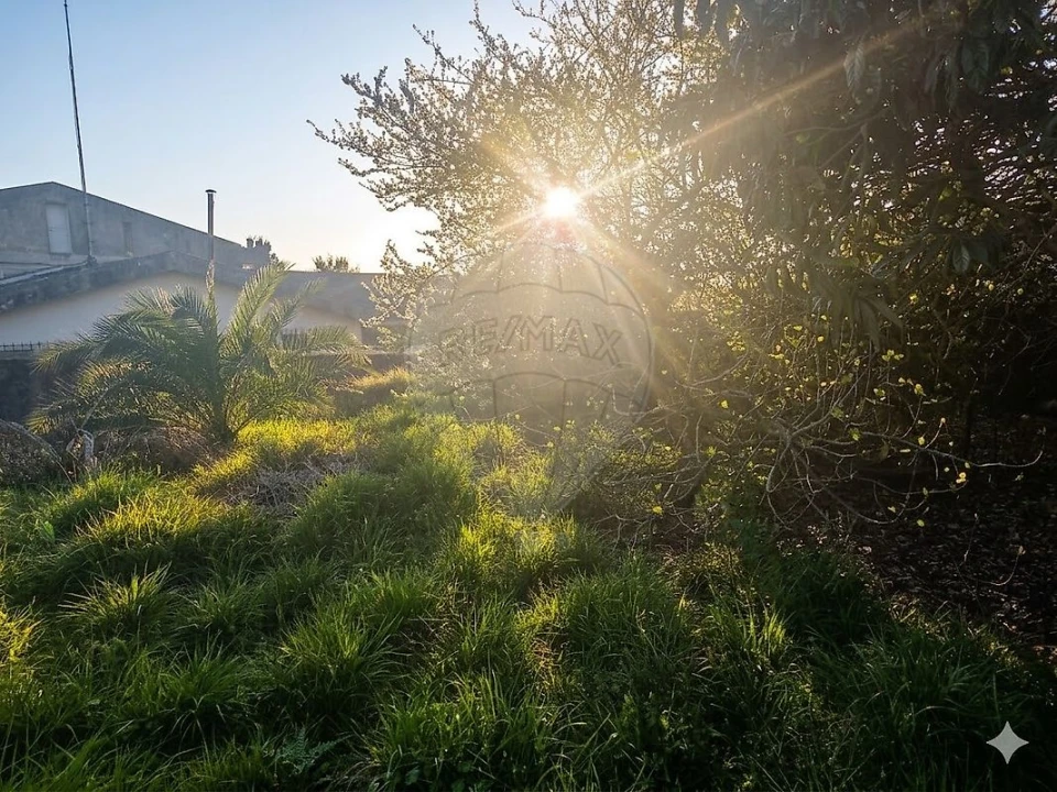 Moradia T3 para Venda em Almargem do Bispo, Pêro Pinheiro e Montelavar Foto 1