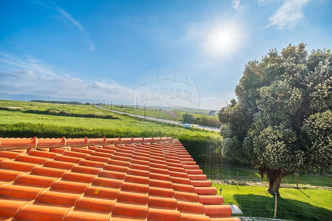 Moradia T4 para Venda em São João das Lampas e Terrugem Foto 26