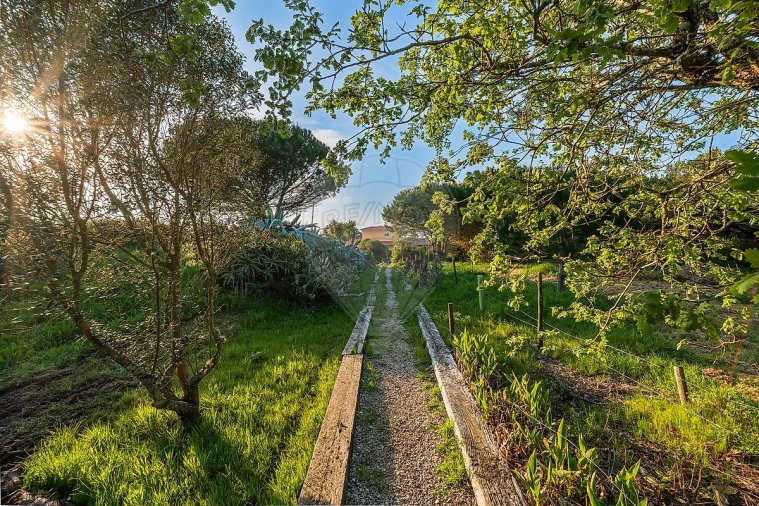 Moradia T4 para Venda em São João das Lampas e Terrugem Foto 36