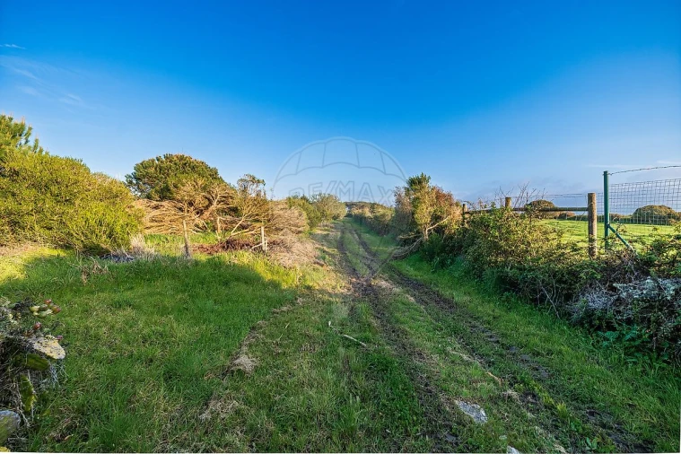 Moradia T4 para Venda em São João das Lampas e Terrugem Foto 35