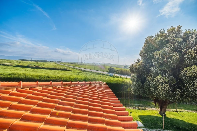 Moradia T4 para Venda em São João das Lampas e Terrugem Foto 26