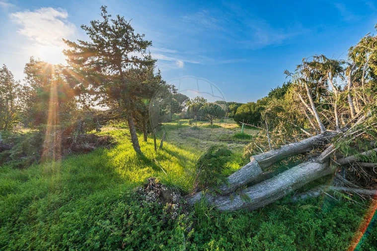 Moradia T4 para Venda em São João das Lampas e Terrugem Foto 39