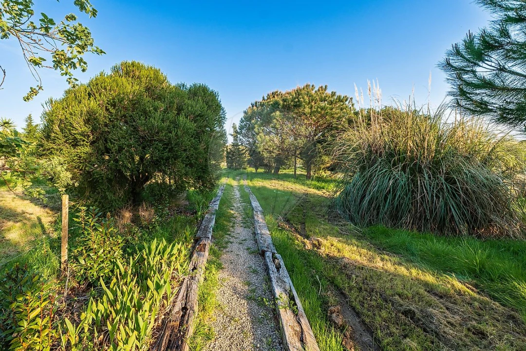 Moradia T4 para Venda em São João das Lampas e Terrugem Foto 40