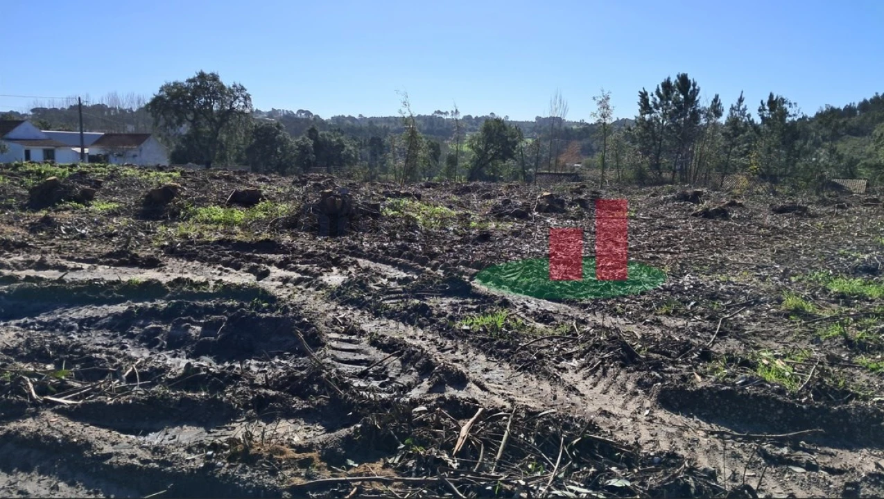 Terreno Misto para Venda em Asseiceira Foto 3