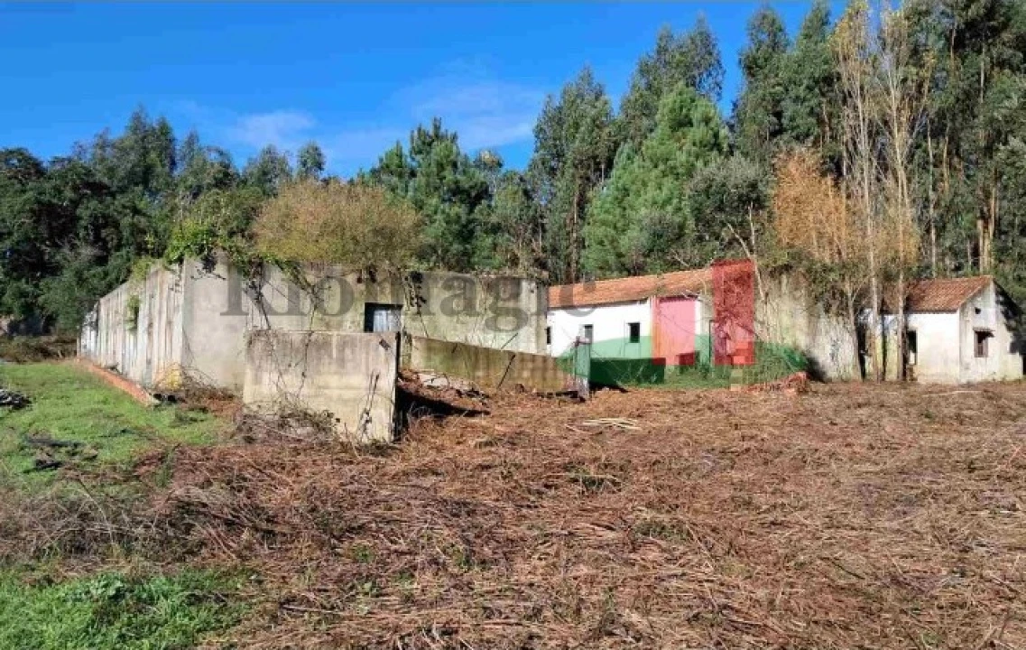 Terreno Misto para Venda em Asseiceira Foto 2