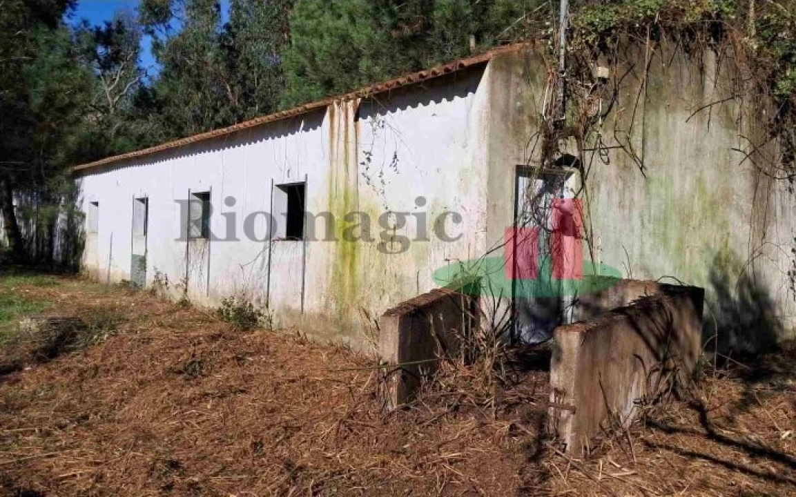 Terreno Misto para Venda em Asseiceira Foto 3