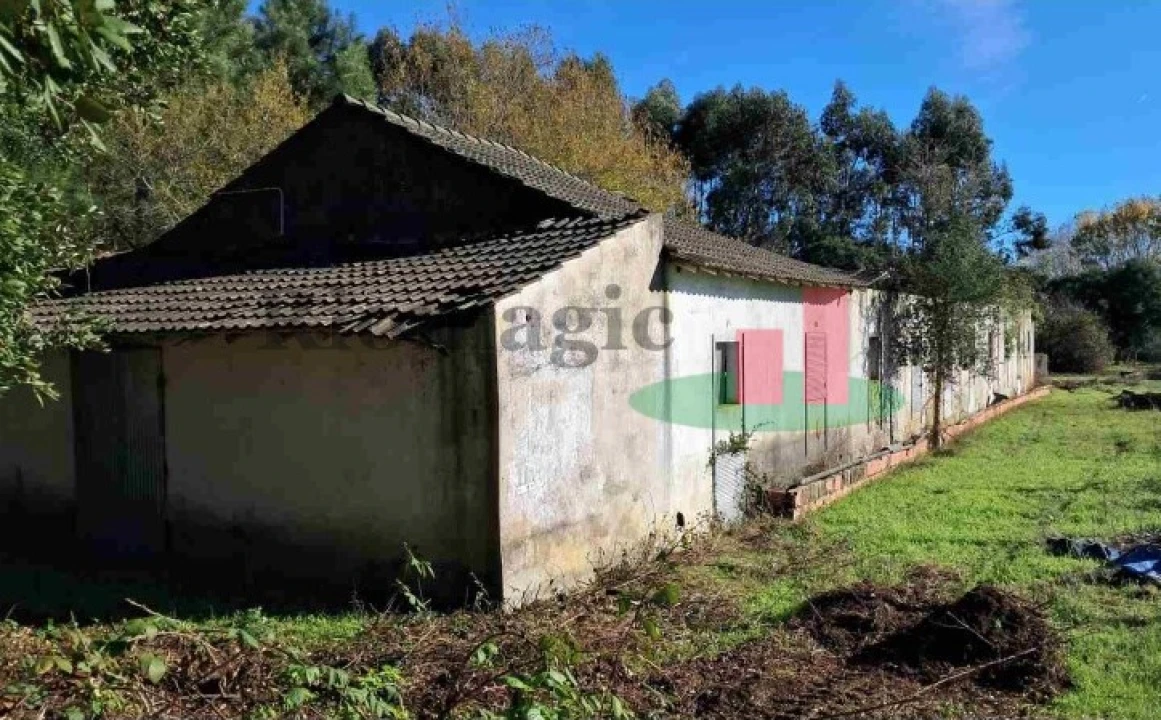 Terreno Misto para Venda em Asseiceira Foto 4