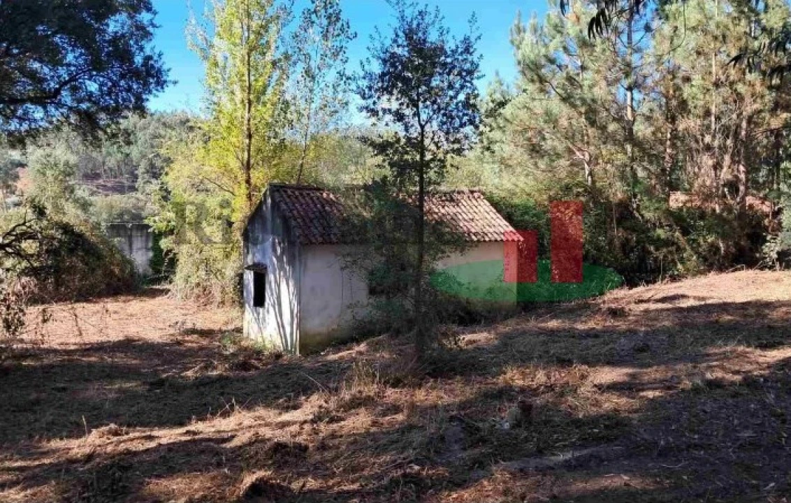 Terreno Misto para Venda em Asseiceira Foto 6