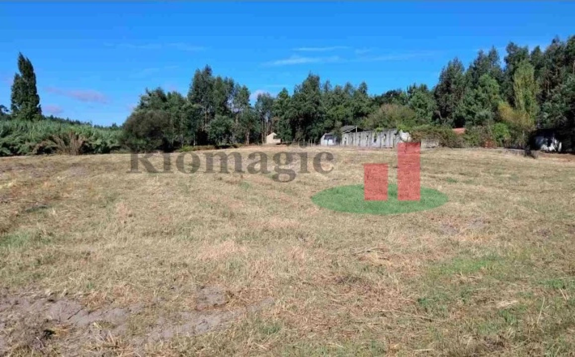 Terreno Misto para Venda em Asseiceira Foto 10