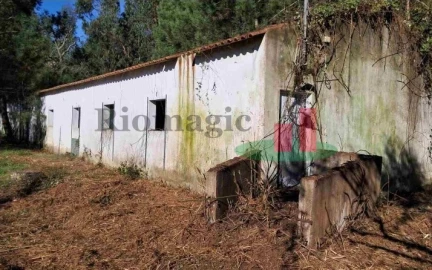 Terreno Misto para Venda em Asseiceira