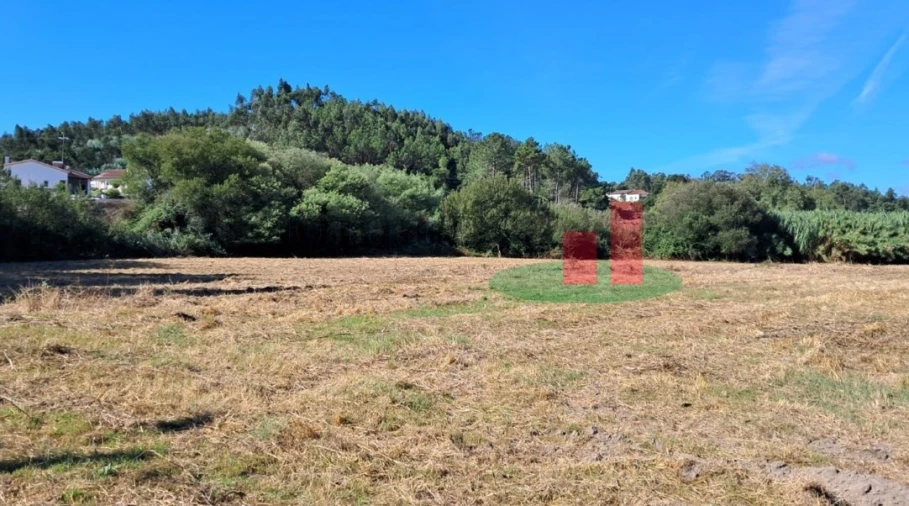Terreno Misto para Venda em Asseiceira Foto 2