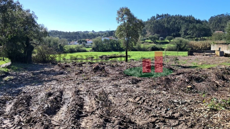 Terreno Misto para Venda em Asseiceira Foto 4
