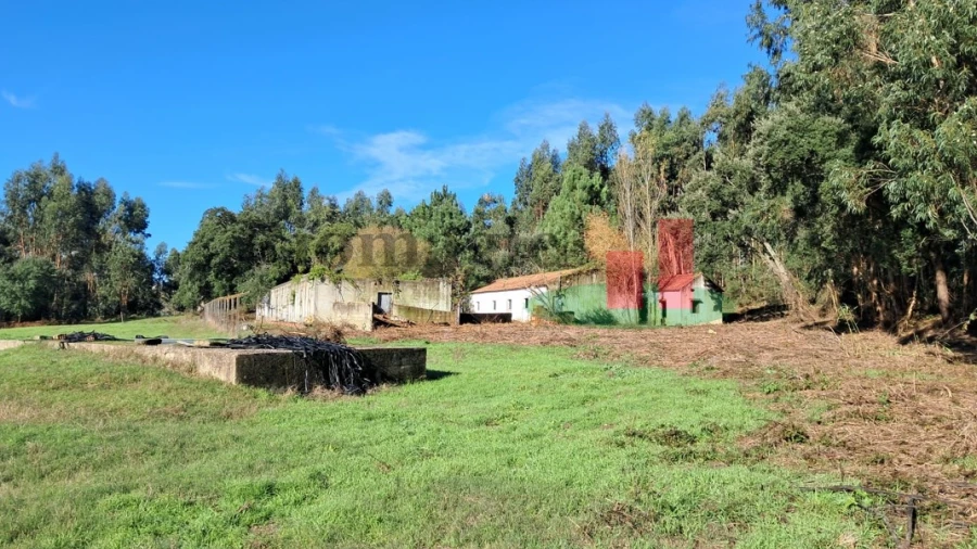 Terreno Misto para Venda em Asseiceira