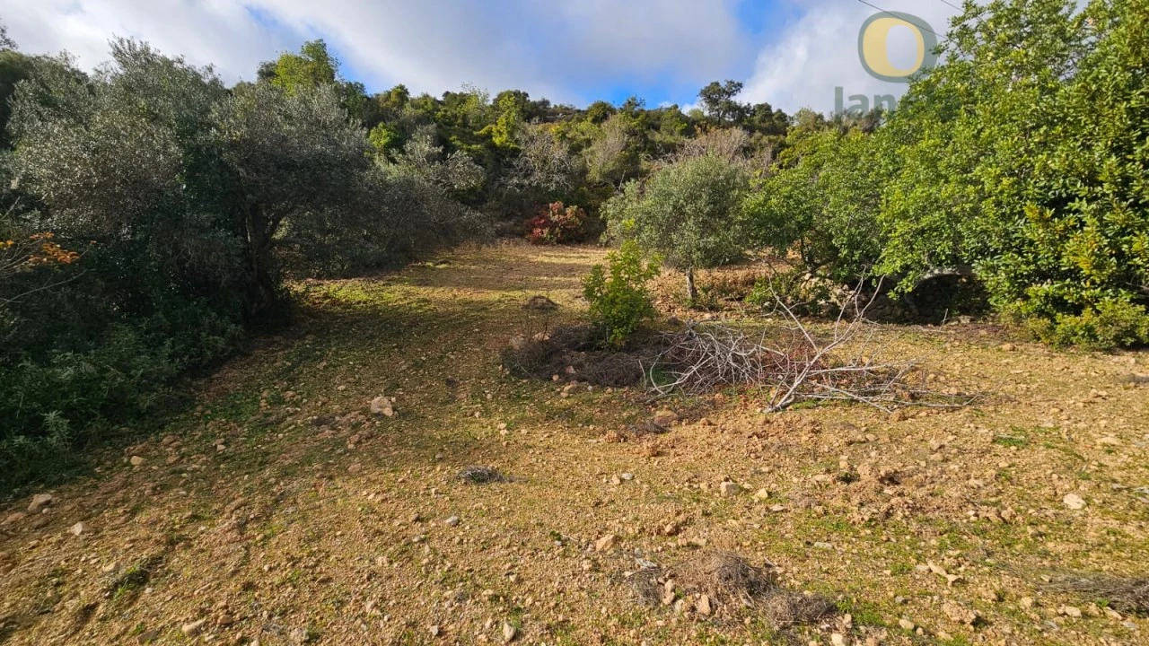 Terreno para Venda em Conceição e Estoi Foto 1