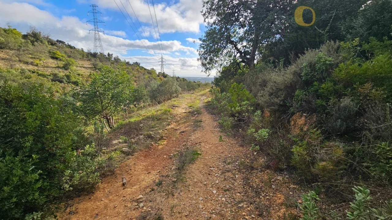 Terreno para Venda em Conceição e Estoi Foto 3