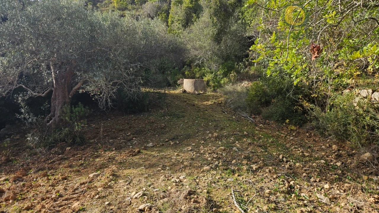 Terreno para Venda em Conceição e Estoi Foto 5