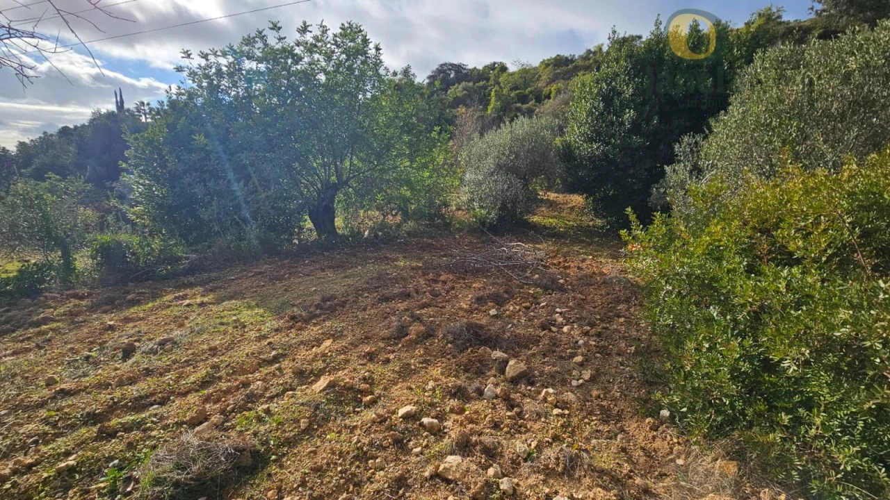 Terreno para Venda em Conceição e Estoi Foto 9