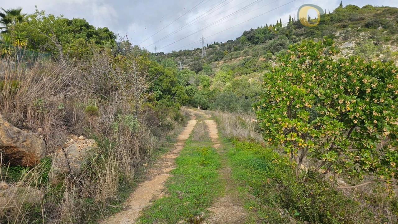 Terreno para Venda em Conceição e Estoi Foto 10