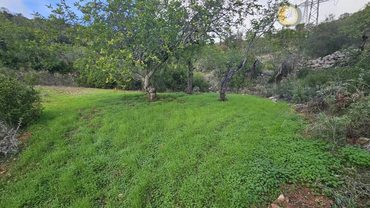 Terreno para Venda em Conceição e Estoi Foto 16