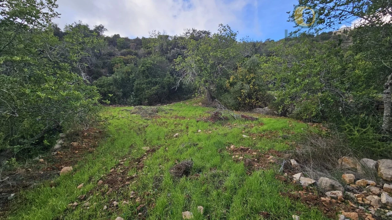 Terreno para Venda em Conceição e Estoi Foto 17