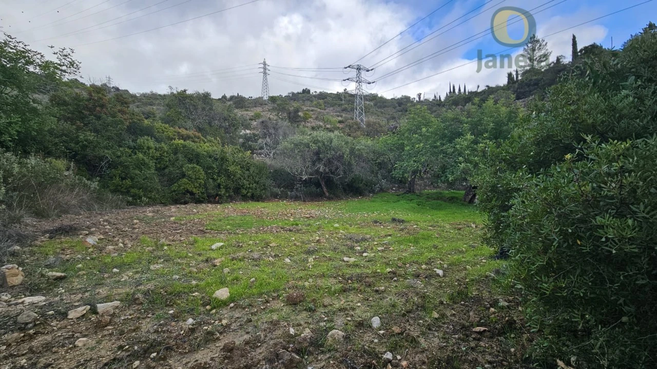 Terreno para Venda em Conceição e Estoi Foto 18