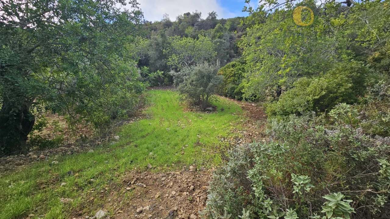 Terreno para Venda em Conceição e Estoi Foto 21
