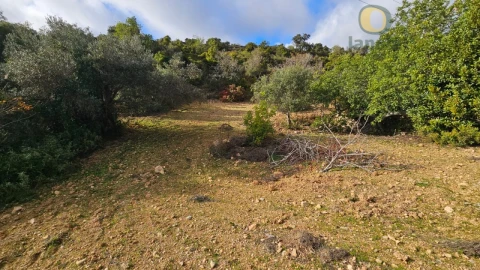 Terreno para Venda em Conceição e Estoi