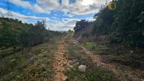 Terreno para Venda em Conceição e Estoi