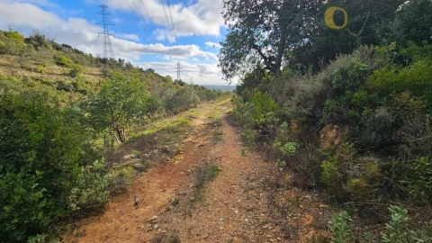Terreno para Venda em Conceição e Estoi